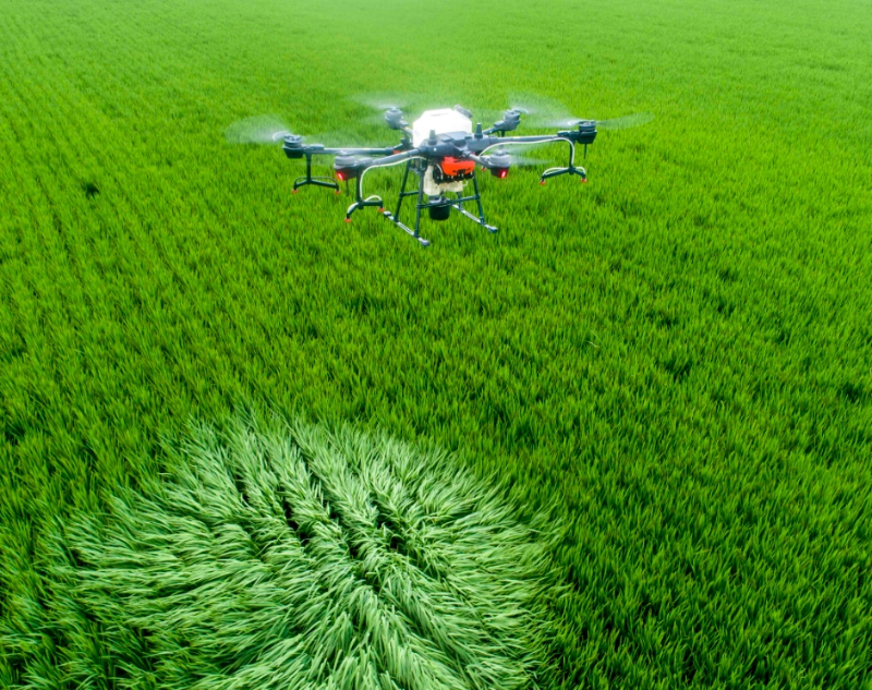 微信截圖_20250214151450