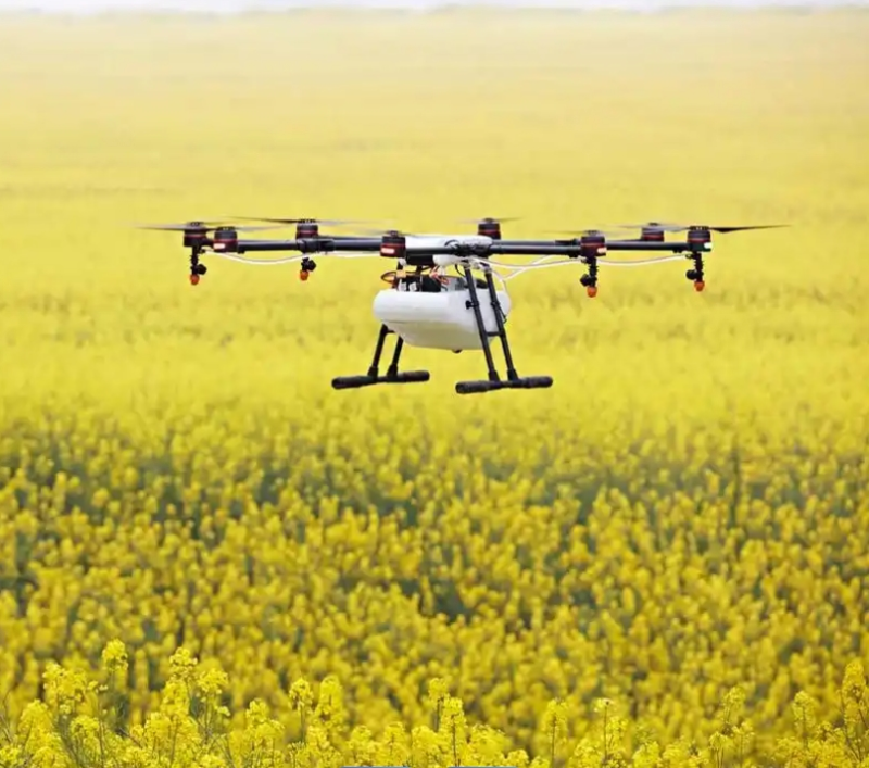 微信截圖_20250214152112