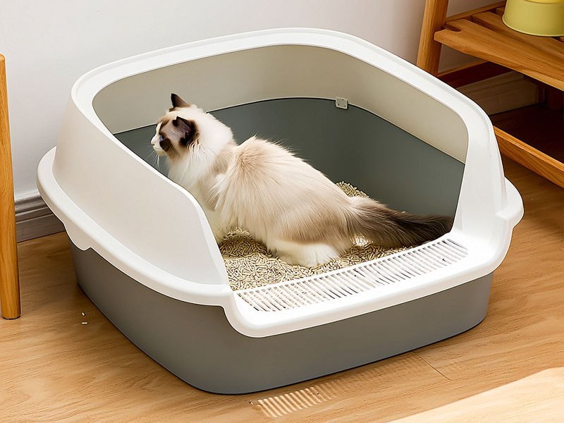 大號(hào)貓砂盆注塑